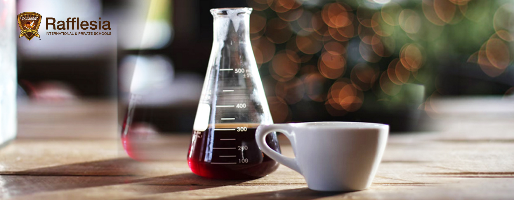 Year 11 - Coffee & Physics 