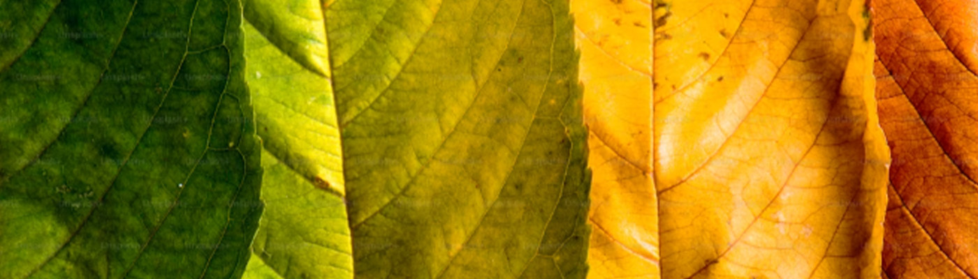 Exploring The World Around Us!