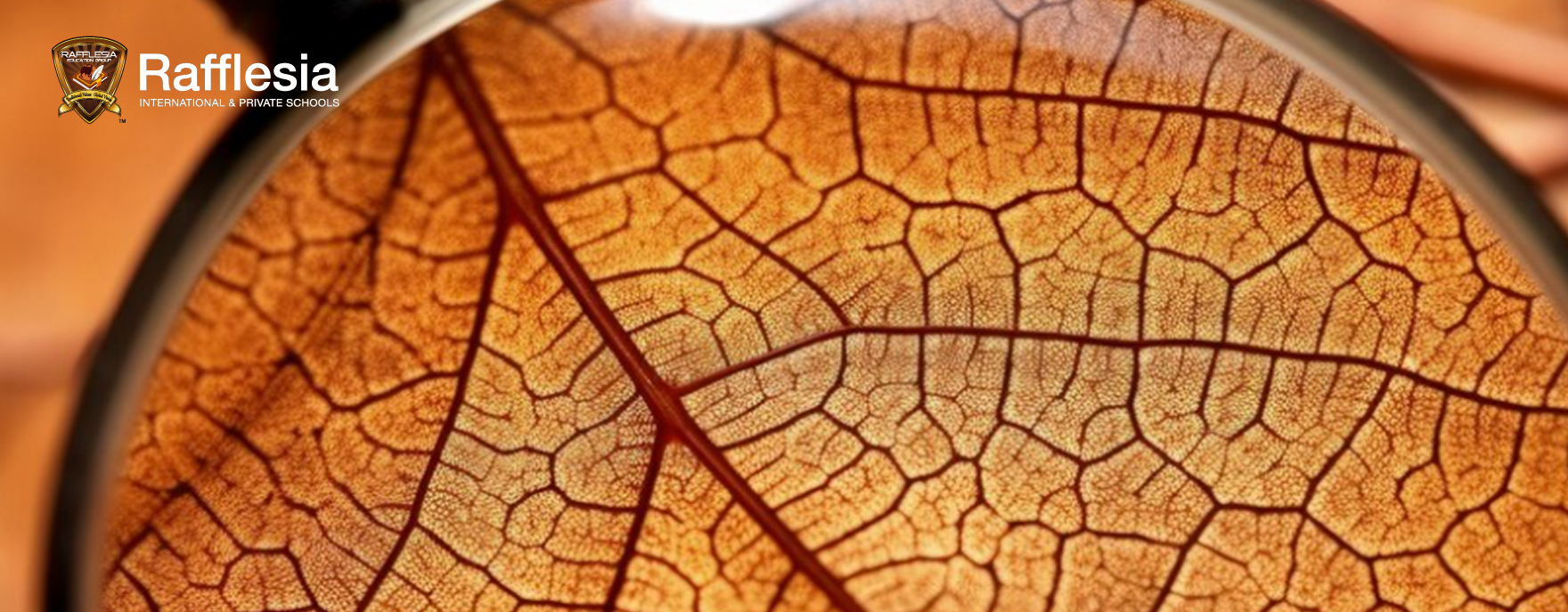 Exploring Nature, One Detail at a Time