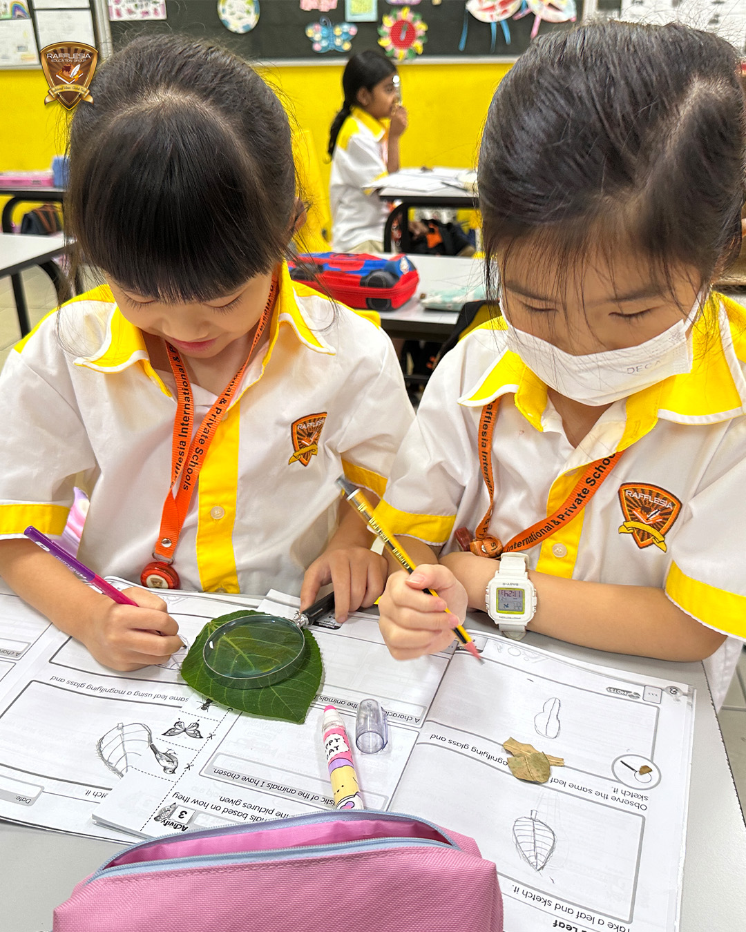 Exploring Nature, One Detail at a Time