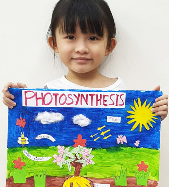 Photosynthesis Model