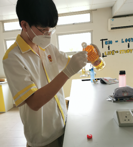 Form 5 - Experiment session