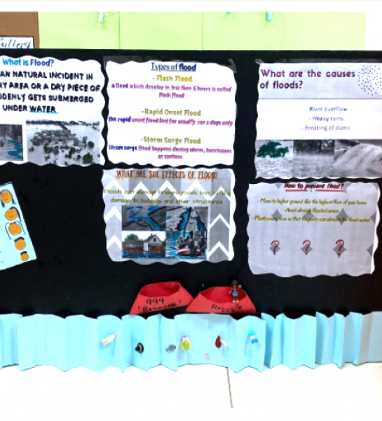 Standard 4 to 6: Flood Poster