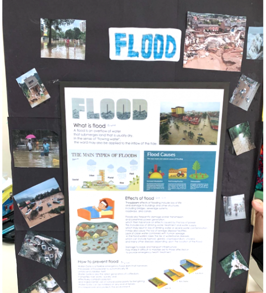 Standard 4 to 6: Flood Poster
