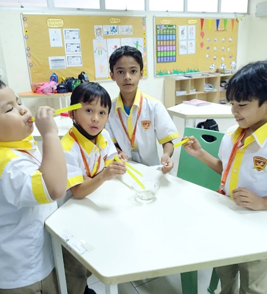 Bubble Fun and Learning