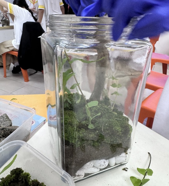  Terrarium Making