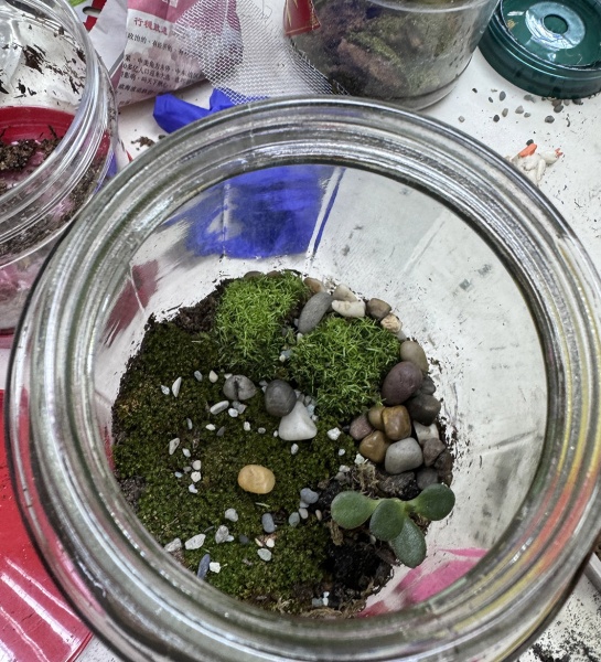  Terrarium Making