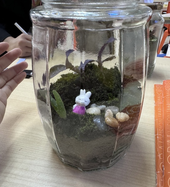  Terrarium Making