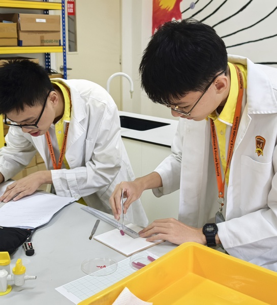 Form 5: Preparing for SPM Success!