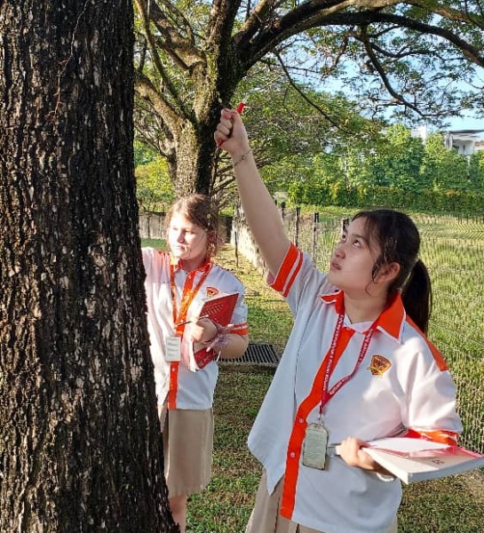 Bringing Science to Life Outdoors 