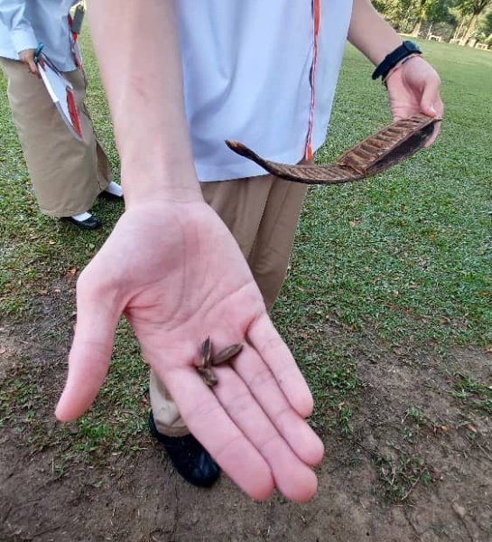 Bringing Science to Life Outdoors 