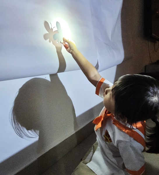 Shadow Play: A Fun-Filled Light & Movement Adventure!