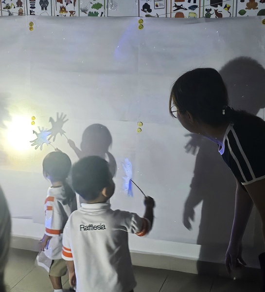 Shadow Play: A Fun-Filled Light & Movement Adventure!