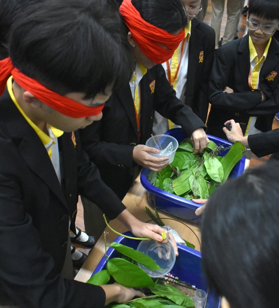 A Green Milestone at Rafflesia! 