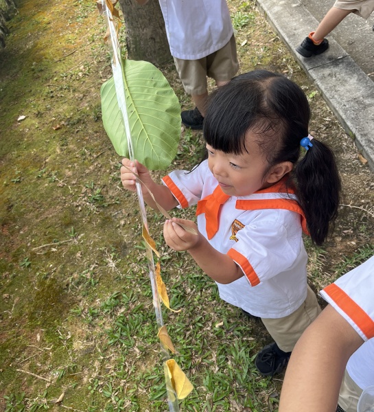 Exploring The World Around Us!