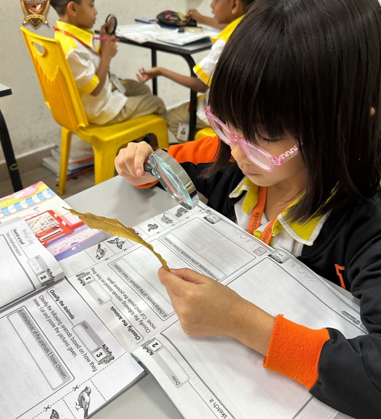 Exploring Nature, One Detail at a Time