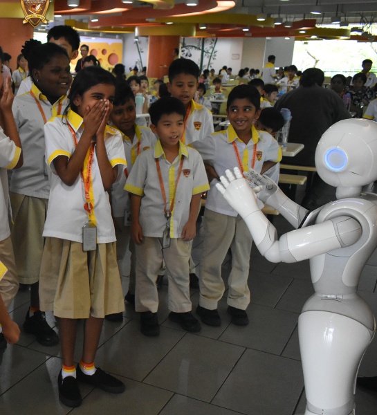 Saving Food, One Lunch at a Time