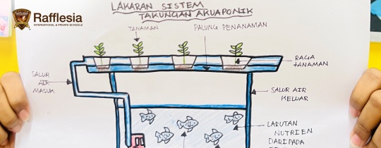 Creative Minds at Work: Aquaponic Innovations