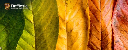 Exploring The World Around Us!